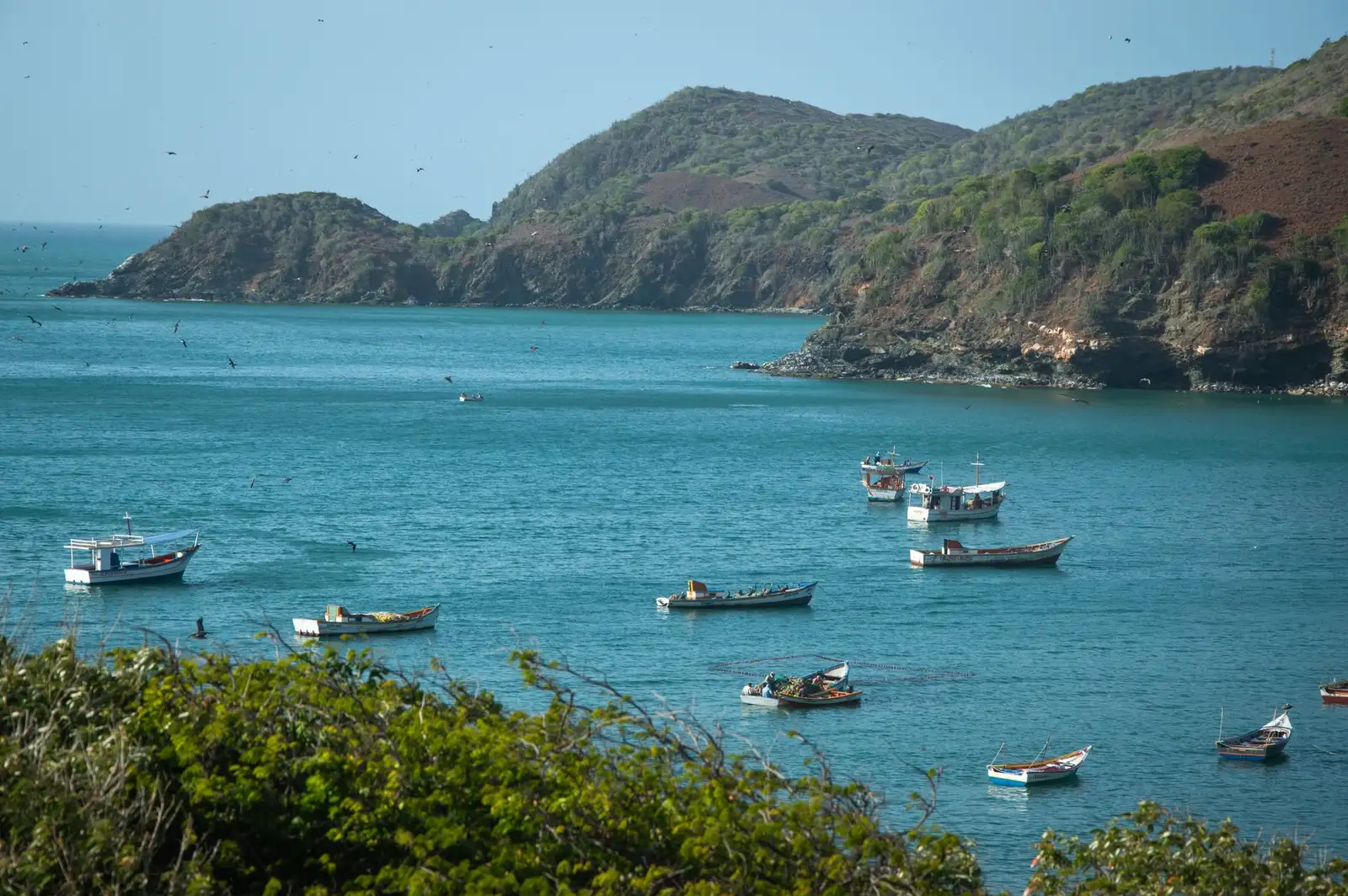Idyllic bay with boats and lush coastline in summer, perfect for travel and nature enthusiasts.